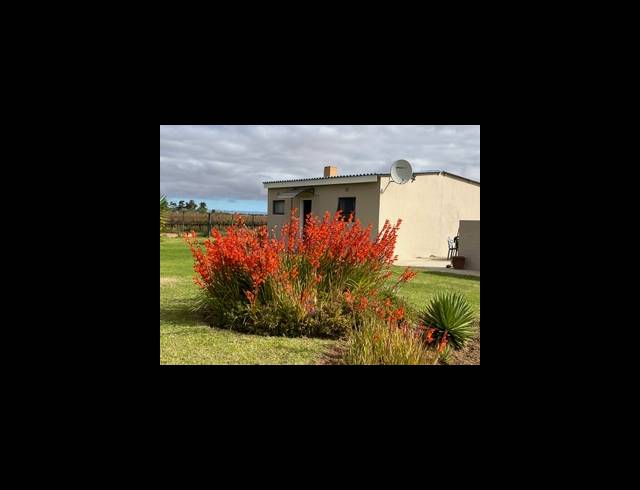 268,479M² FARM FOR SALE IN KOEKENAAP